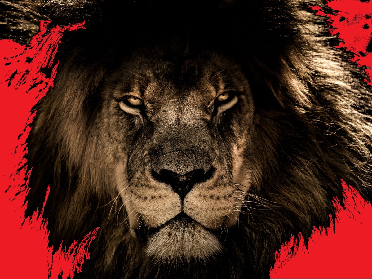 Sono entrati nella mia&nbsp;casa