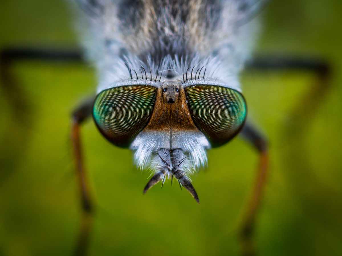 Cosa si prova ad essere un&nbsp;cadavere